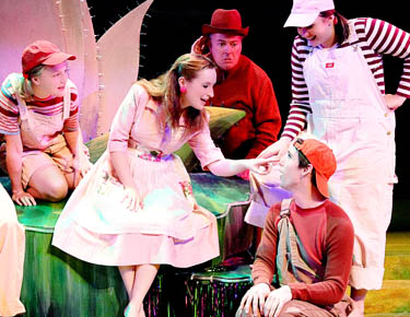 Three Little Pigs (NEW)