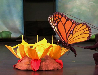 Butterfly: The Story of a Life Cycle